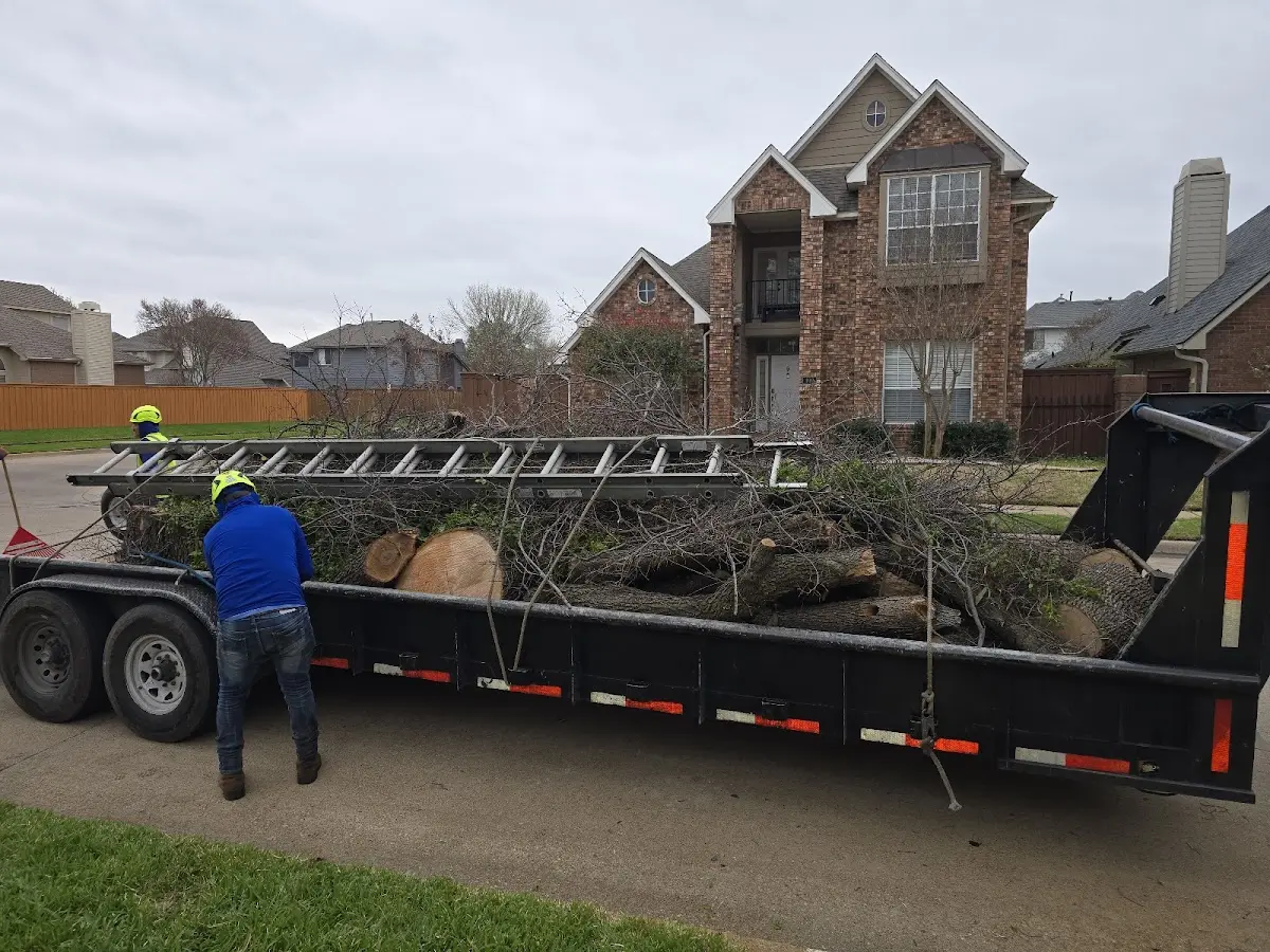 Expert Crown Reduction with proper safety equipment in Mankato